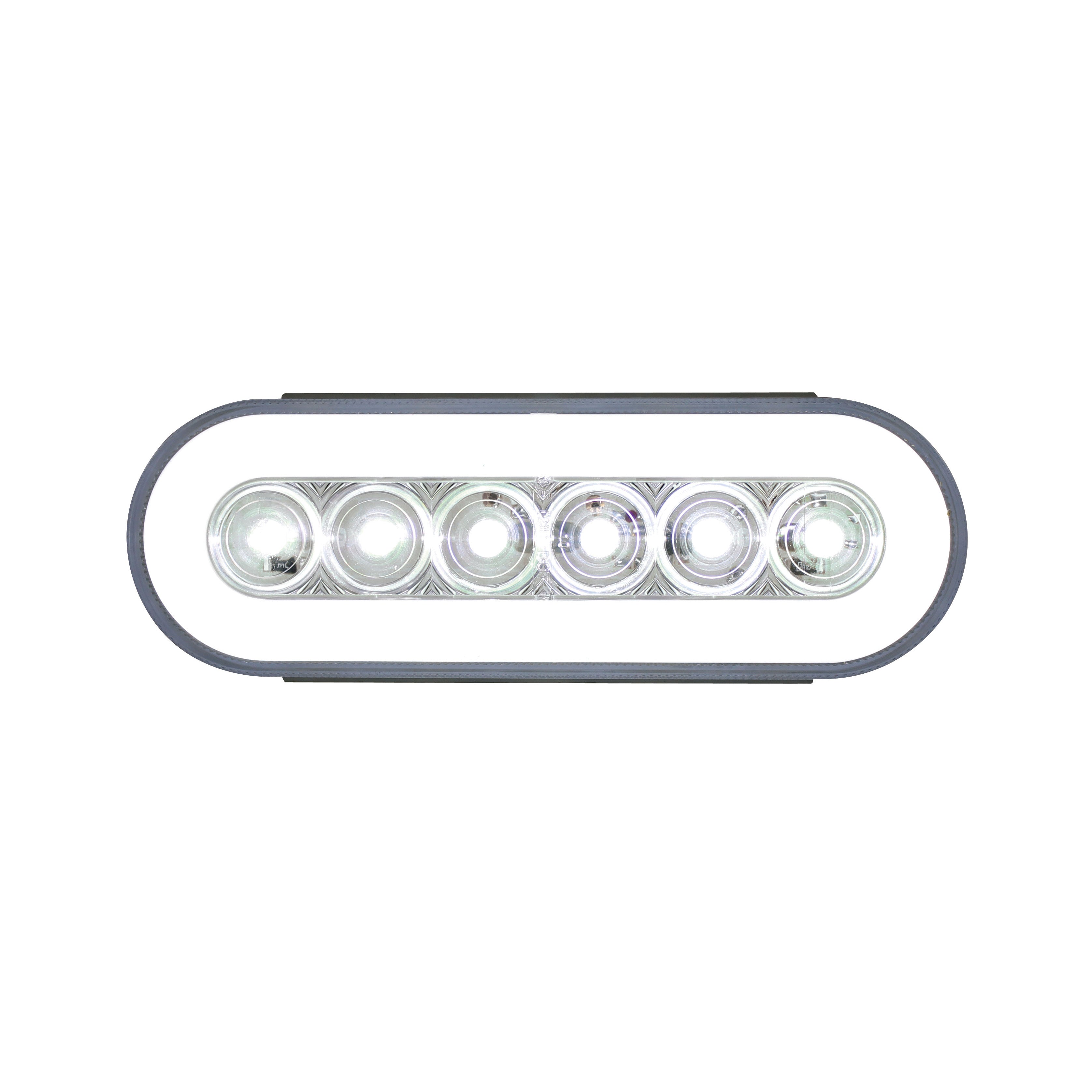 22 LED 6" Oval GloLight Kit (Back-Up)