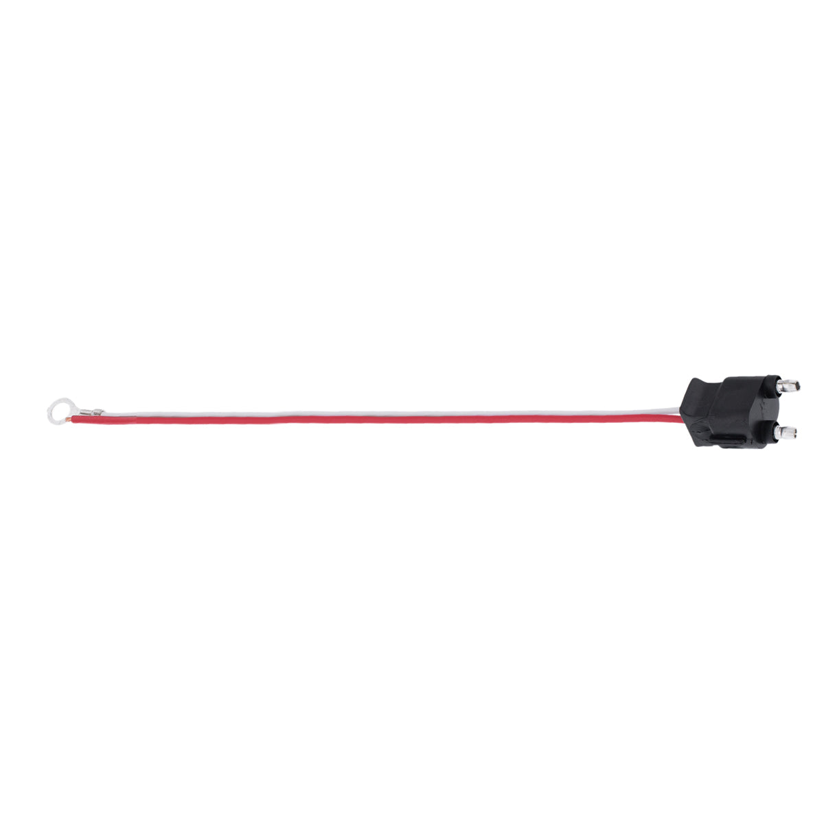 2 Wire Pigtail With 2 Prong Straight Plug - 12" Lead (Retail)