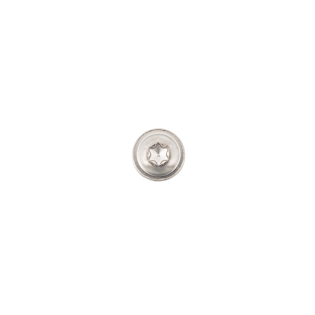 2005+ Freightliner Century Chrome Grille Screw Set