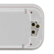 Rectangular Back-Up Light (Each)